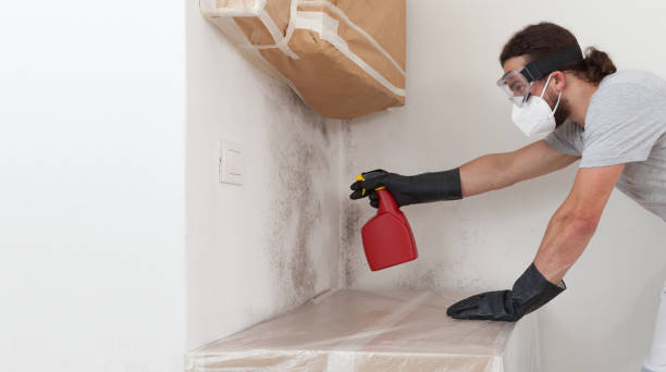Professional Crawl Space Mold Remediation technician working in River Grove, IL